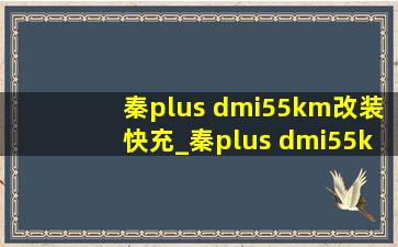 秦plus dmi55km改装快充_秦plus dmi55km改装